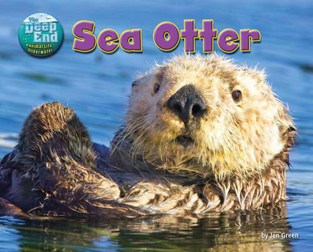 Sea Otter by Jen Green (English) Library Binding Book Free Shipping