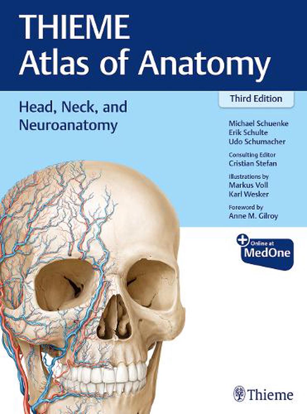 Head, Neck, and Neuroanatomy (THIEME Atlas of Anatomy) by Michael