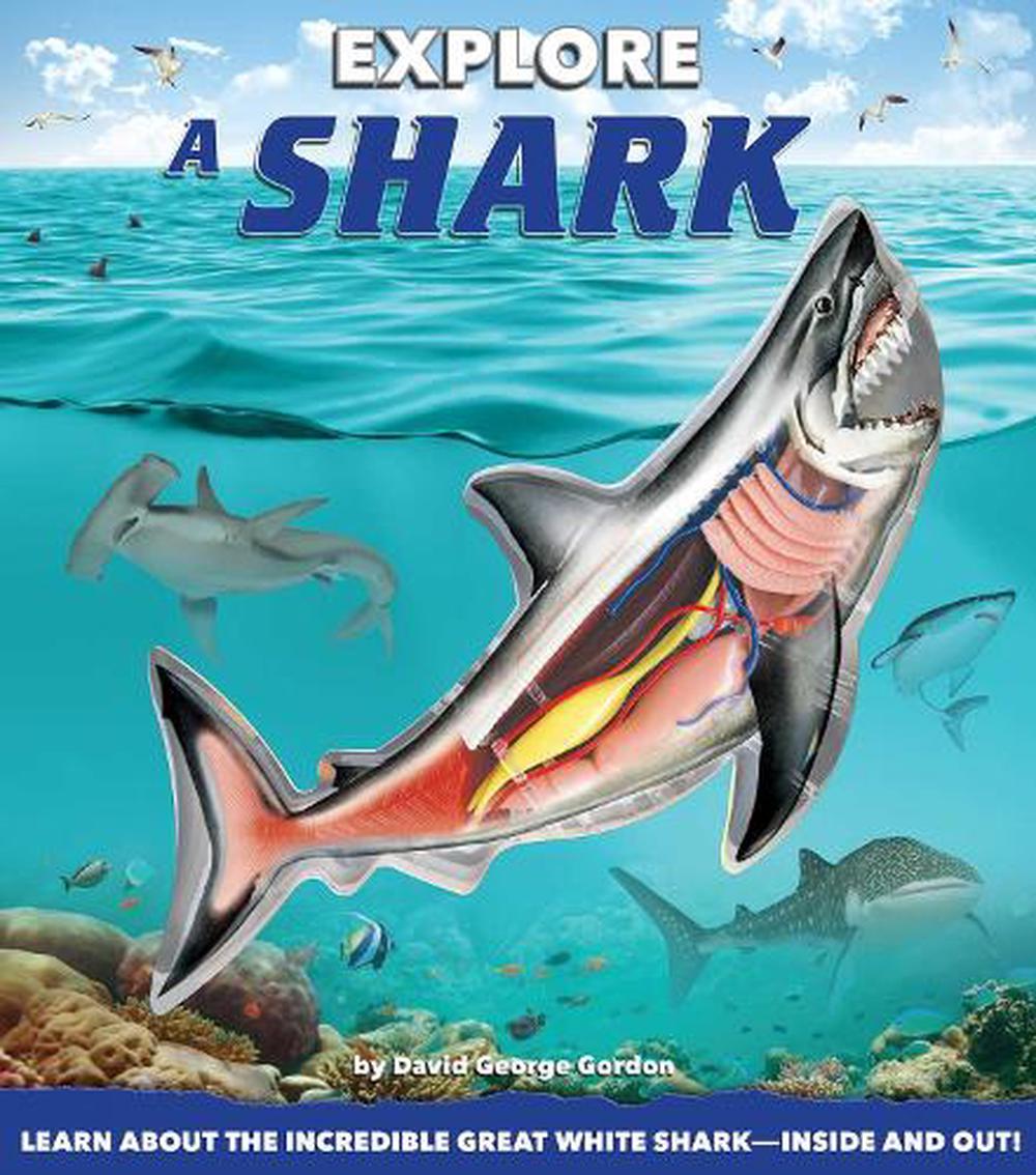 Explore a Shark by David George Gordon (English) Hardcover Book Free ...