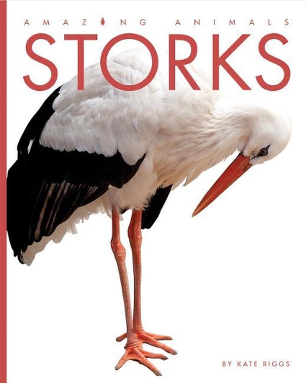 Amazing Animals: Storks by Kate Riggs (English) Paperback Book Free ...