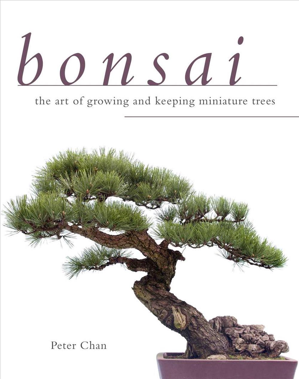 Bonsai The Art of Growing and Keeping Miniature Trees by Peter Chan