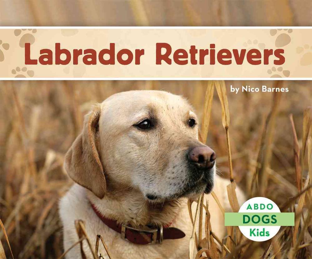 Labrador Retrievers by Nico Barnes (English) Library Binding Book Free ...