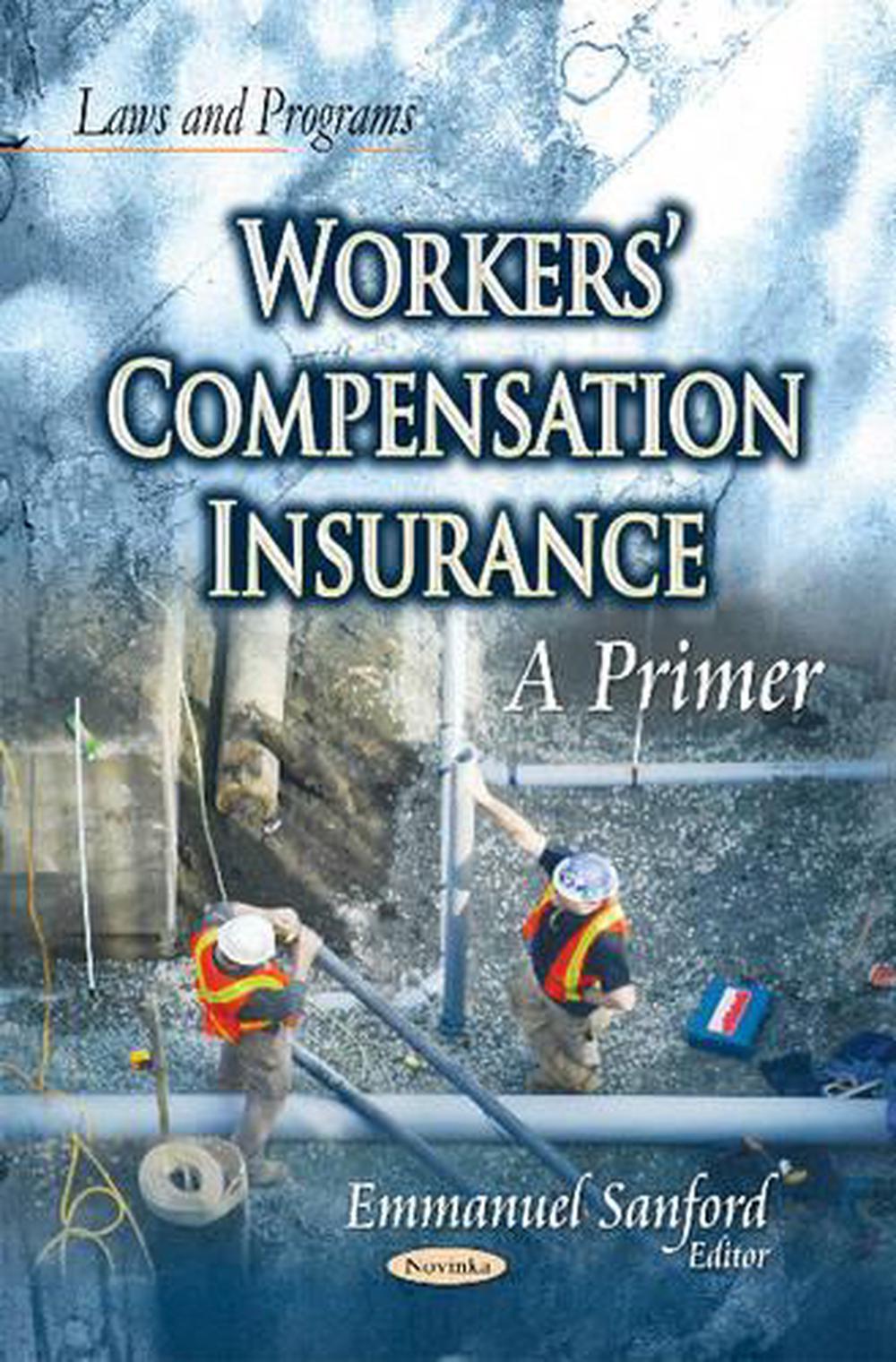 Workers Compensation Insurance A Primer by Sanford E. (English