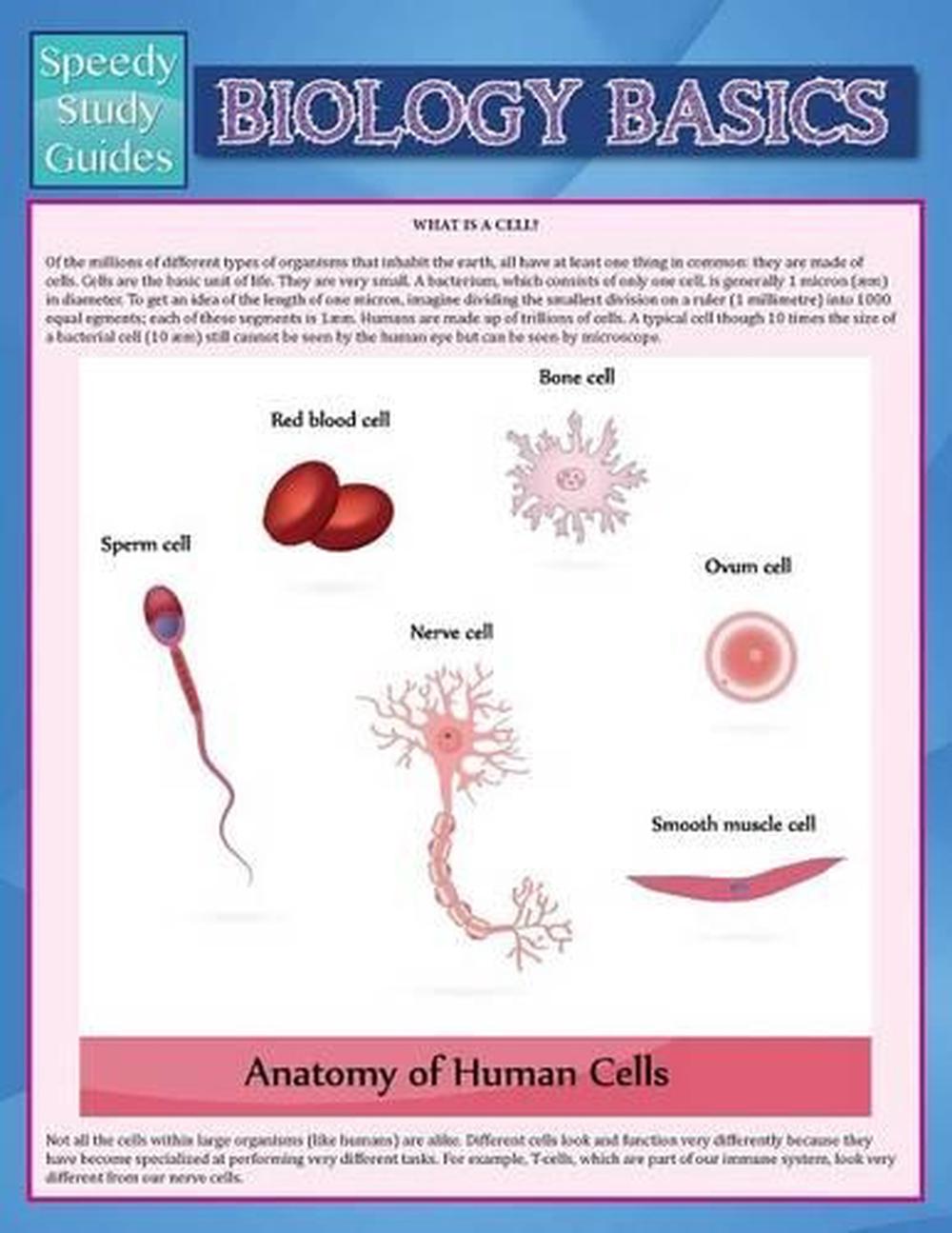 Biology Basics (Speedy Study Guide) By Speedy Publishing LLC (English ...