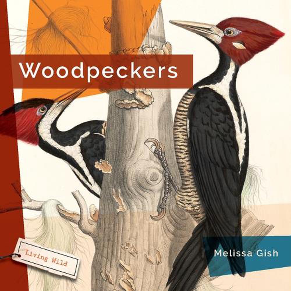 Woodpeckers by Melissa Gish (English) Hardcover Book