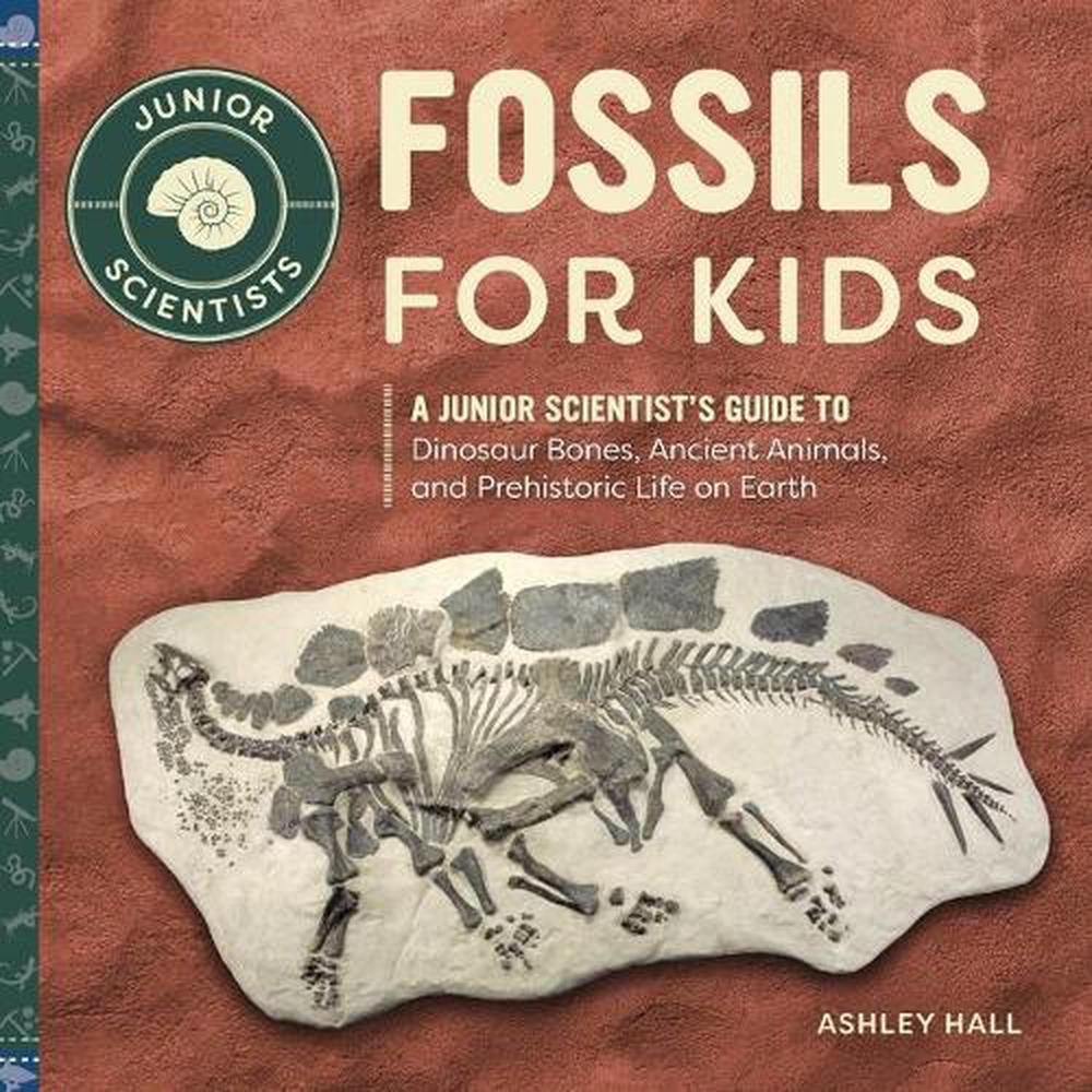 dino hunters fossils for sale