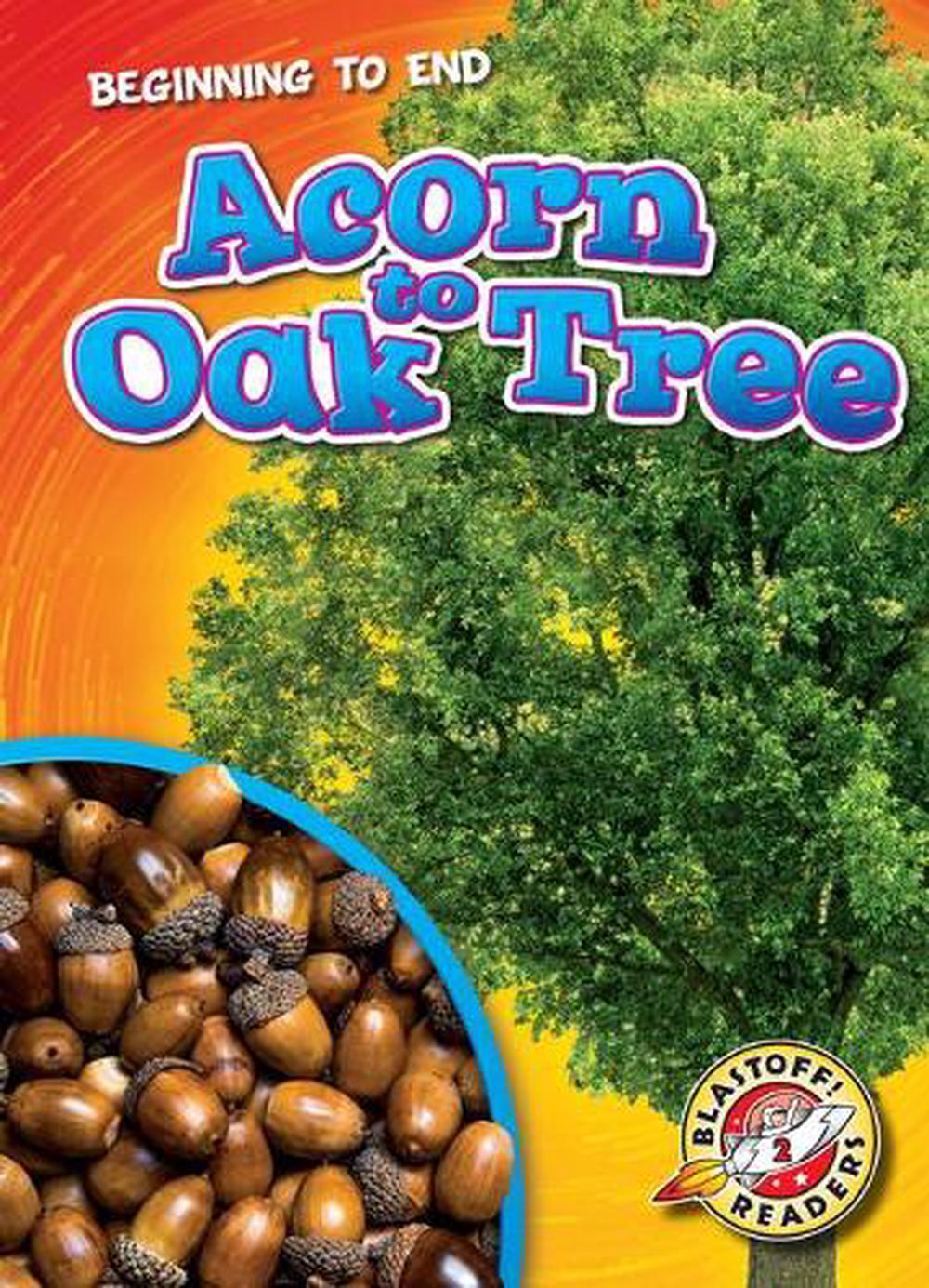 acorn and oak tree ephrain