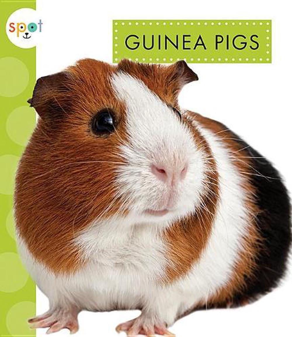 Guinea Pigs by Mari C. Schuh (English) Paperback Book Free Shipping