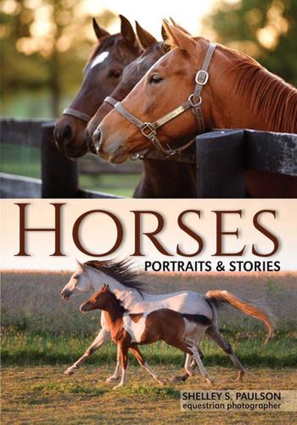 horse essays
