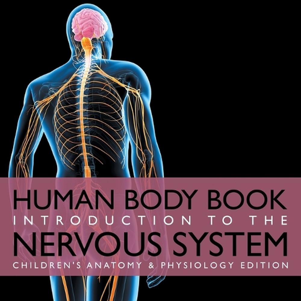 Human Body Book Introduction To The Nervous System Childrens Anatomy