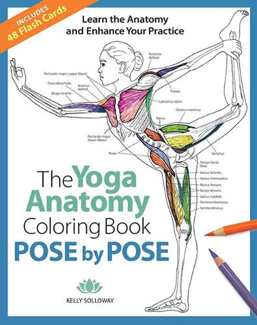 Download Yoga Anatomy Coloring Pose by Pose by Kelly Solloway (English) Paperback Book Fr 9781684620135 ...