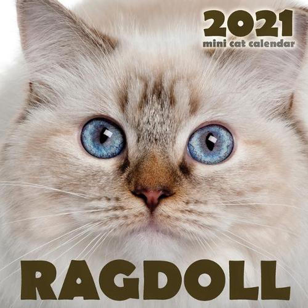 Ragdoll 2021 Mini Cat Calendar by Climbing Wall Cats Free Shipping