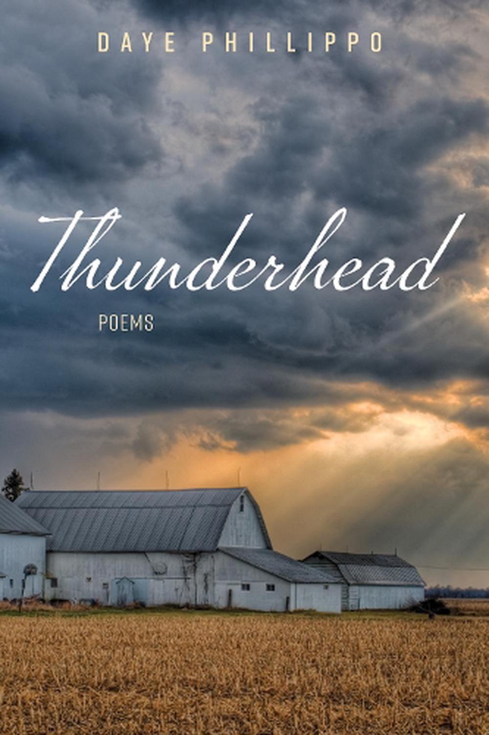 Thunderhead By Daye Phillippo Hardcover Book Free Shipping