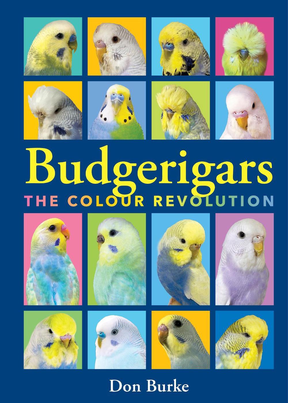 Libro de bolsillo Budgerigars: The Colour Revolution de Don Burke - Imagen 1 de 1