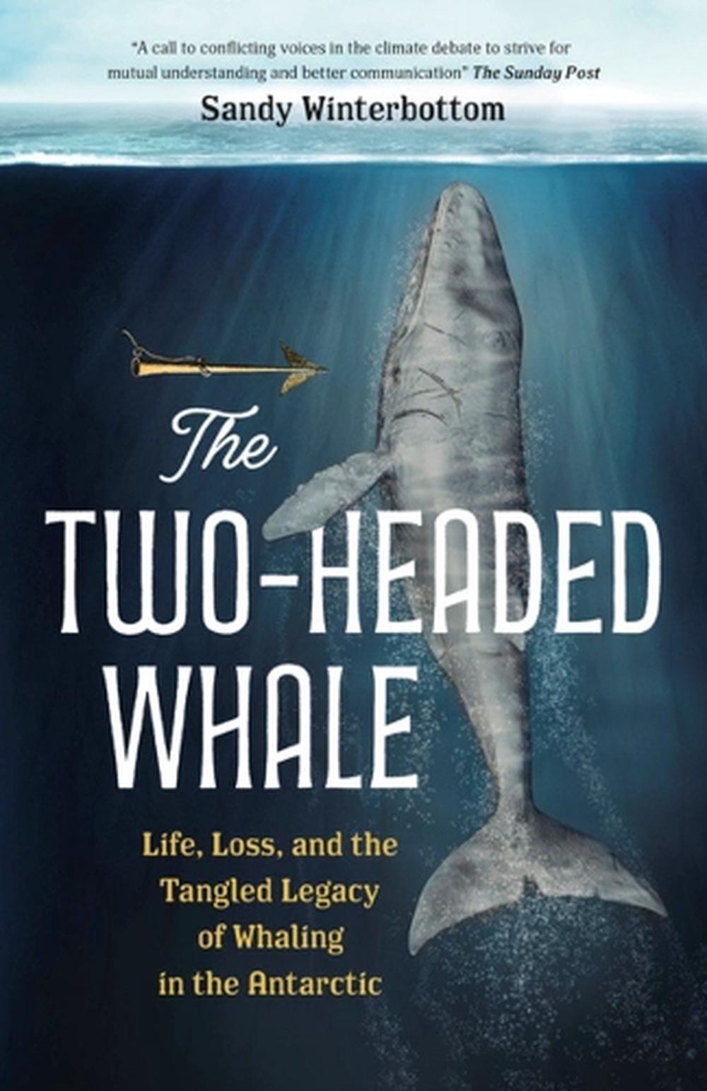 Der zweiköpfige Wal: Leben, Verlust und das verworrene Erbe des Walfangs in der Antar - Bild 1 von 1