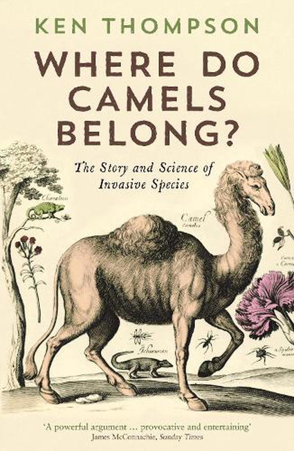 where do camels belong book