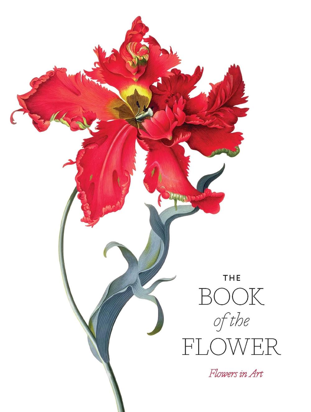 Book of the Flower Flowers in Art by Angus Hyland (English) Paperback