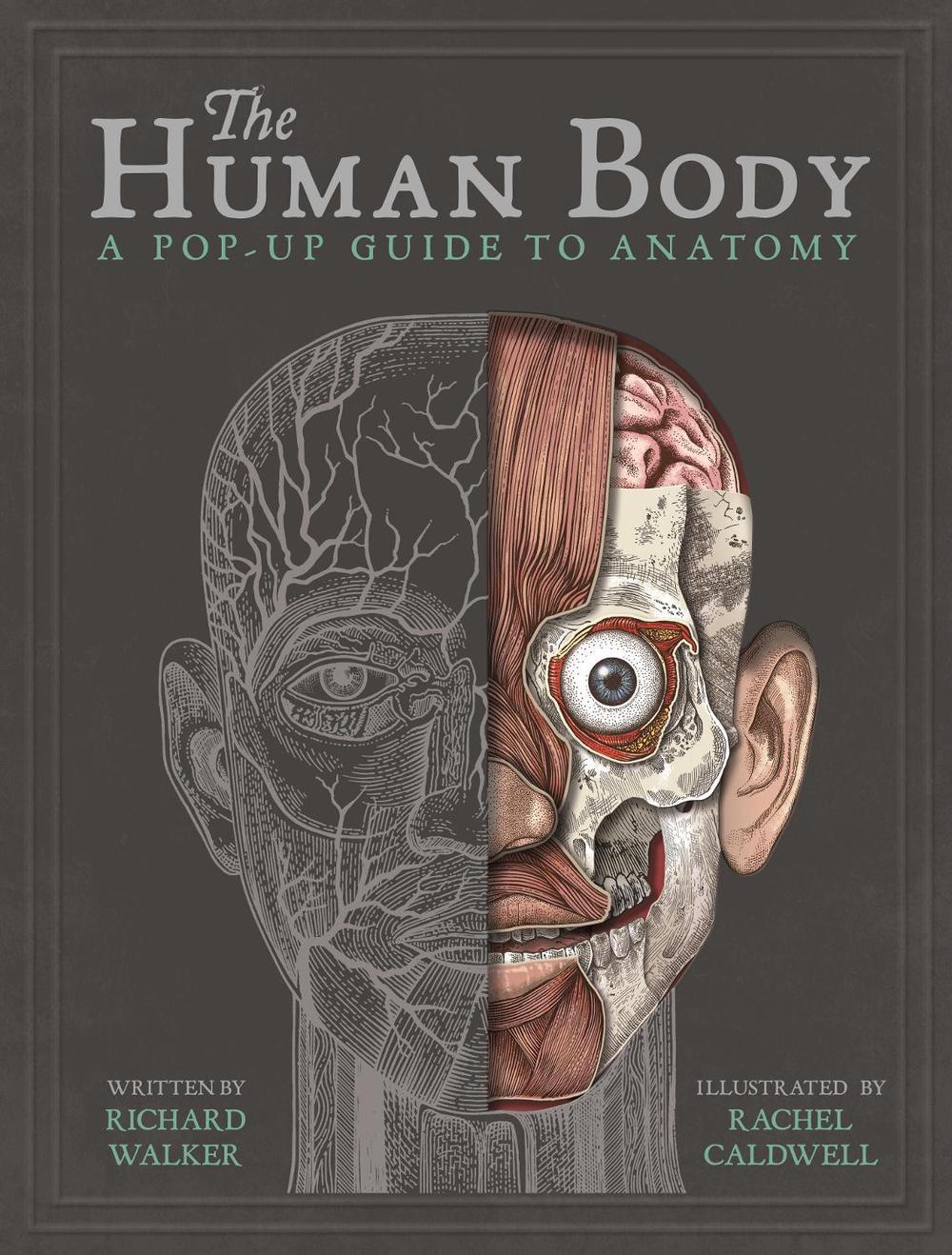 The Human Body: A Pop-Up Guide to Anatomy by Richard Walker (English