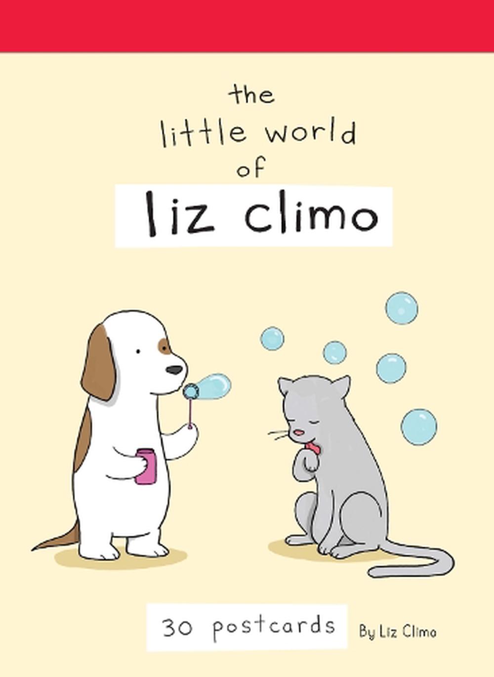 liz climo bear plush