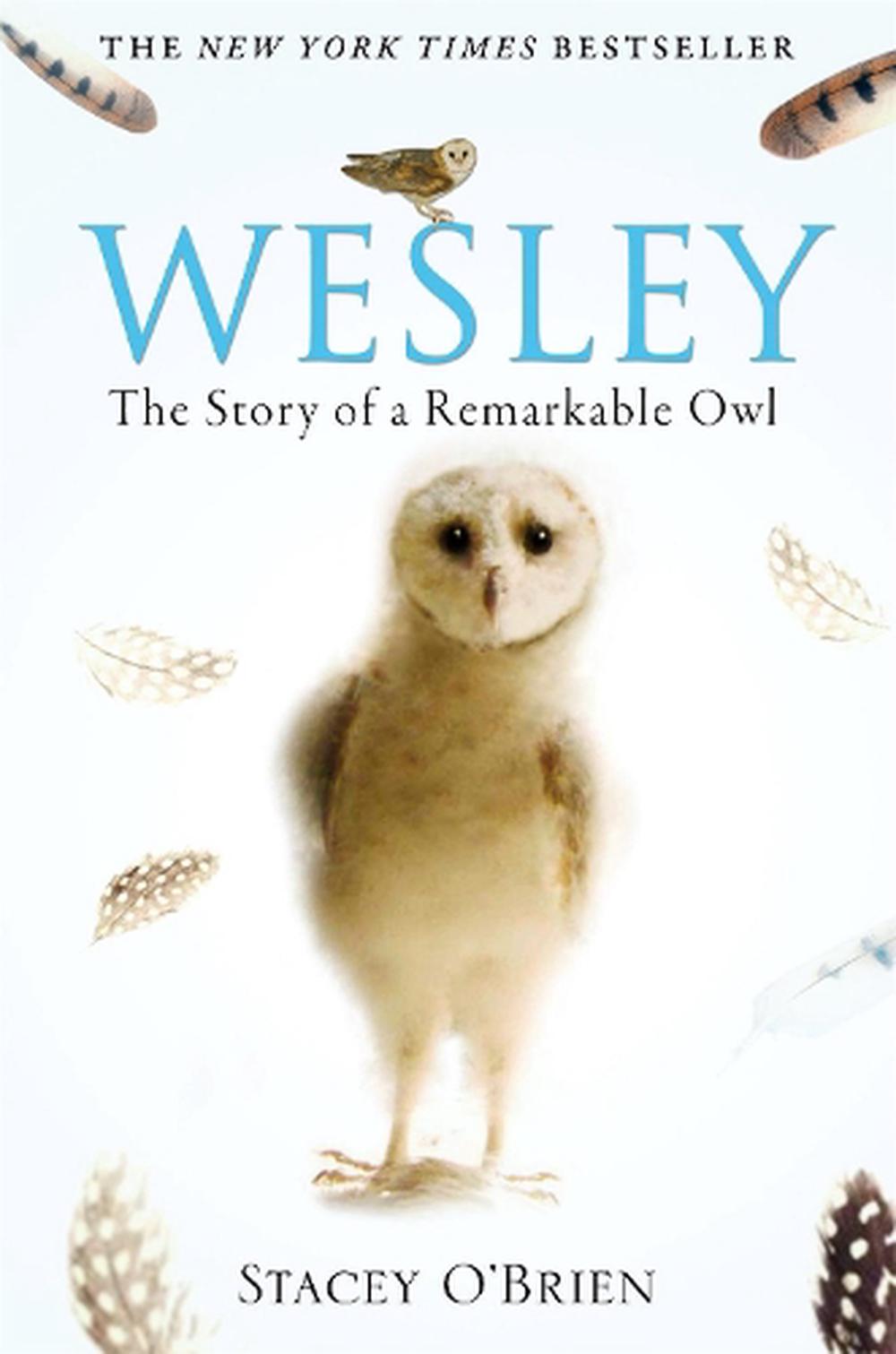 Wesley the Owl by Stacey O