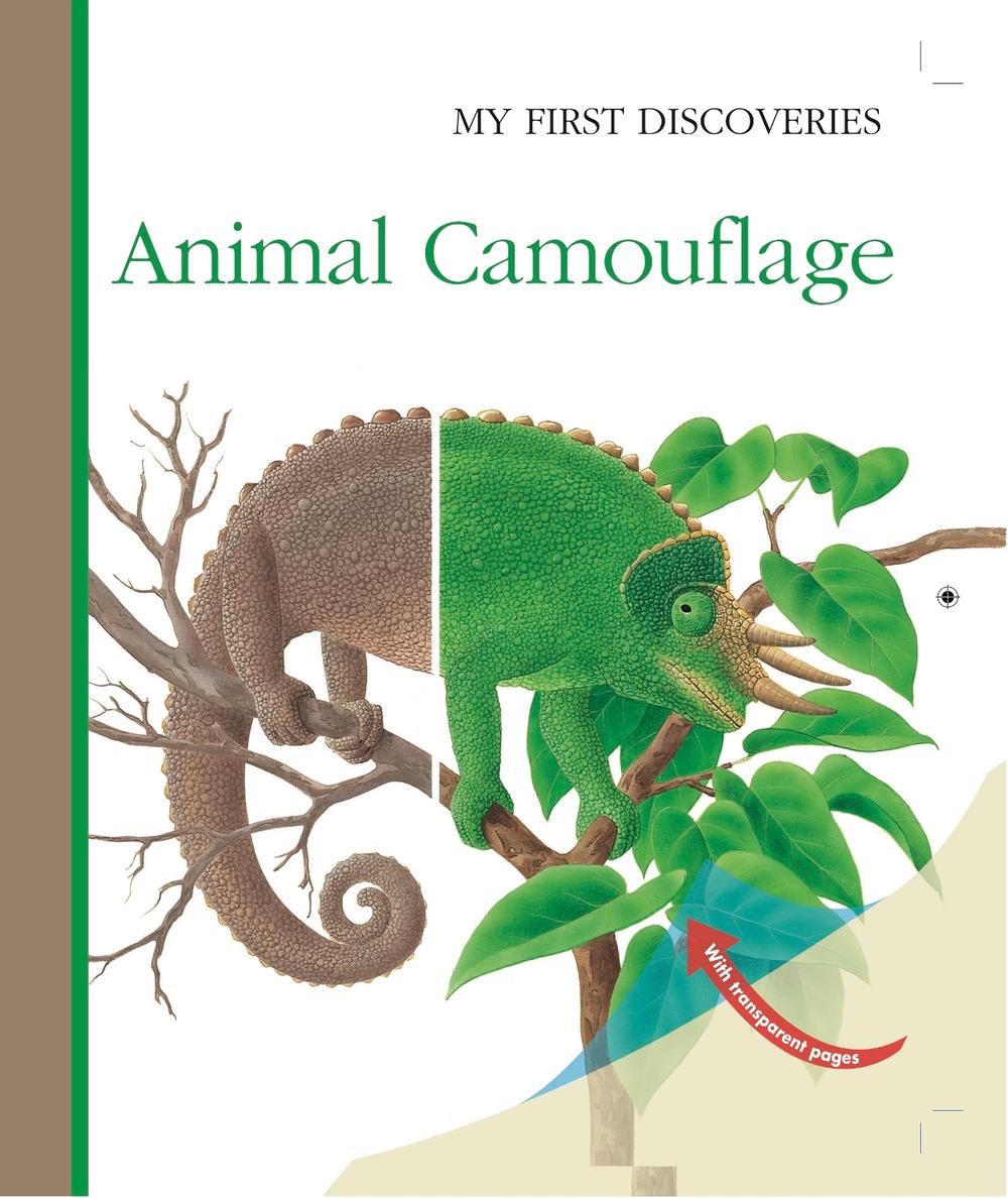 Animal Camouflage by Rene Mettler (English) Spiral Book Free Shipping