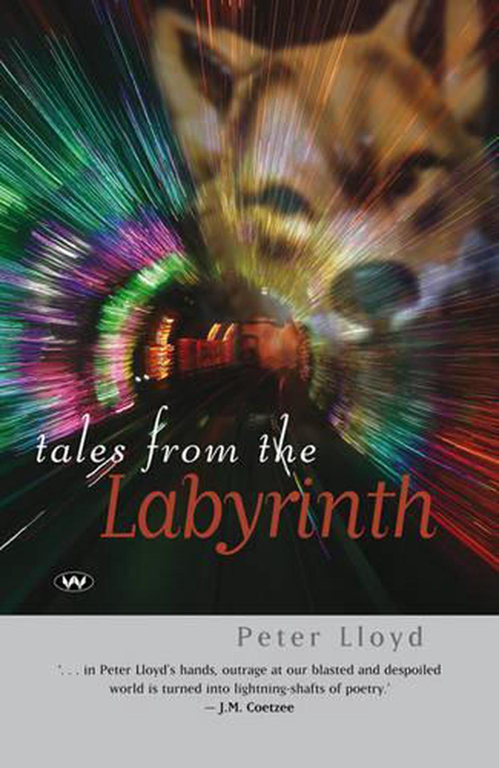 Tales from the Labyrinth / The Stone Ladder by Peter Lloyd (English) Paperback B
