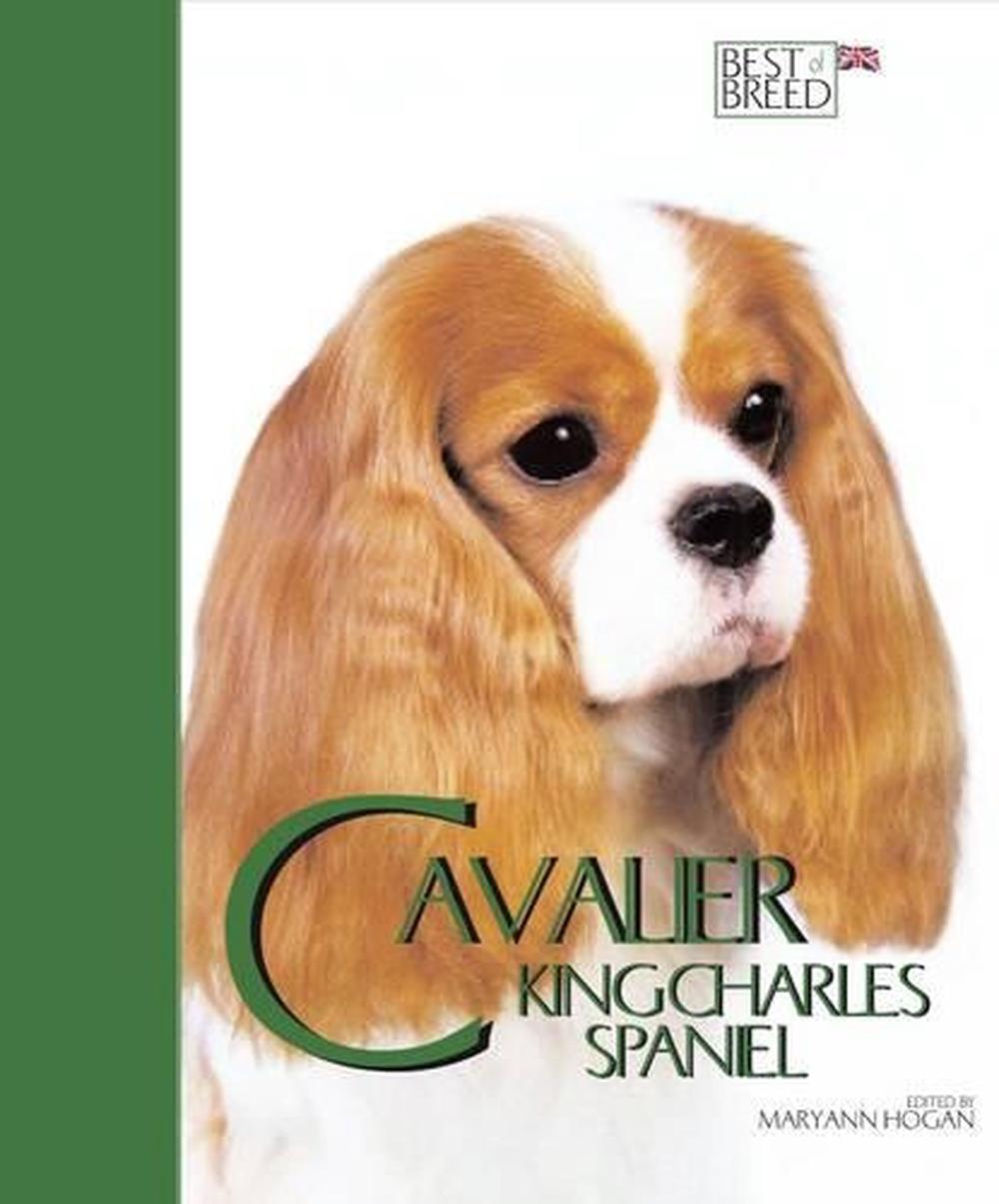 Cavalier King Charles Spaniel by MaryAnn Hogan (English) Hardcover Book