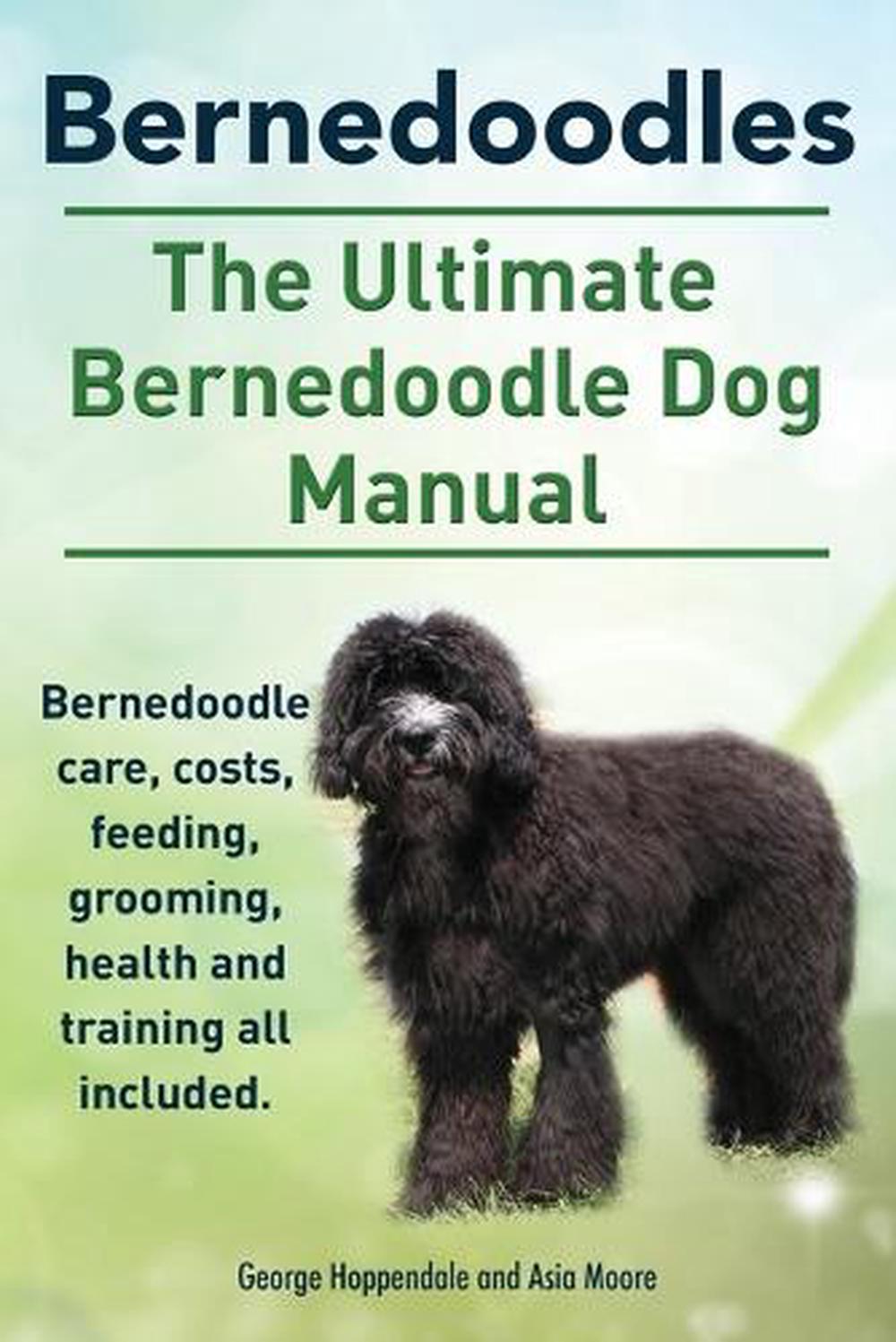 The Ultimate Bernedoodle Dog Manual. Bernedoodle care, costs, feeding,  grooming, health and training all included.