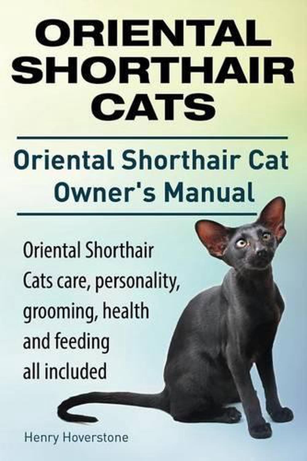 Oriental Shorthair Cats. Oriental Shorthair Cat Owners ...