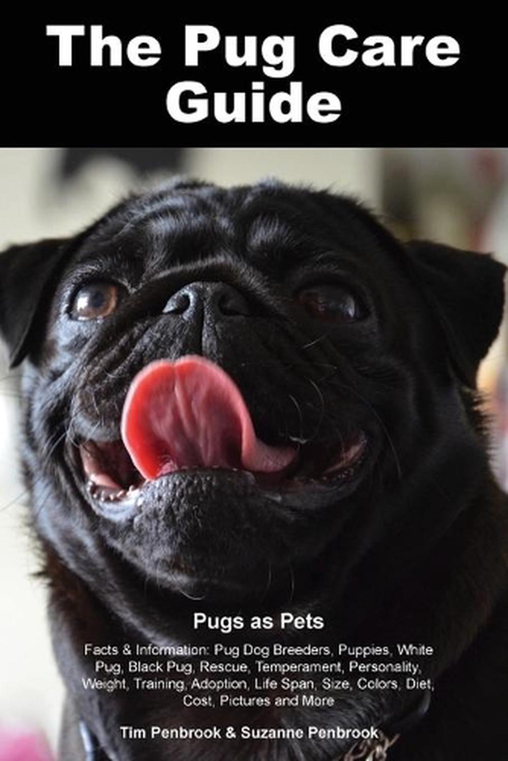 The Pug Care Guide. Pugs as Pets Facts & Information Pug