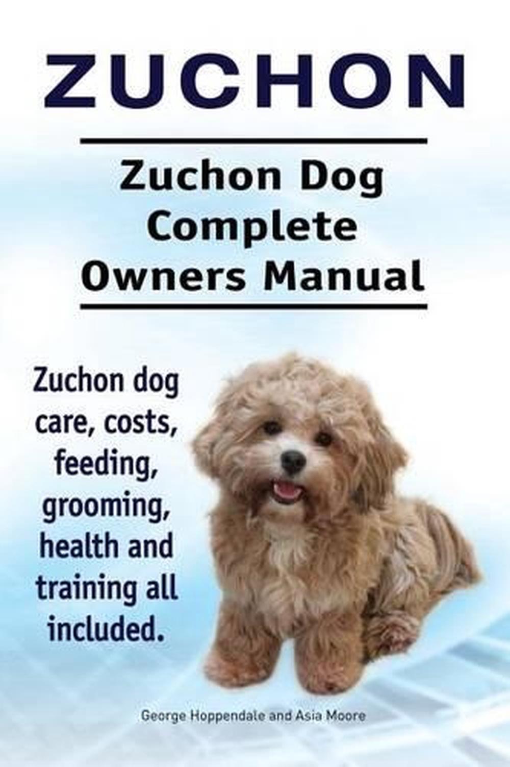 zuchon breed info