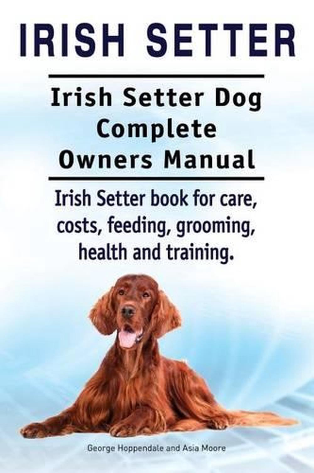 Irish Setter. Irish Setter Dog Complete Owners Manual. Irish Setter Book for Car | eBay