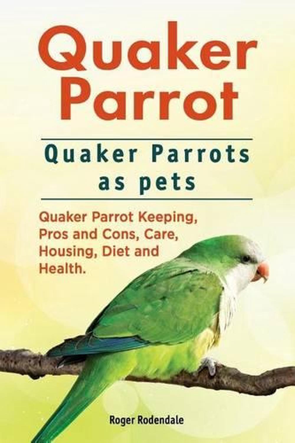 Quaker Parrot. Quaker Parrots as Pets. Quaker Parrot Keeping, Pros and