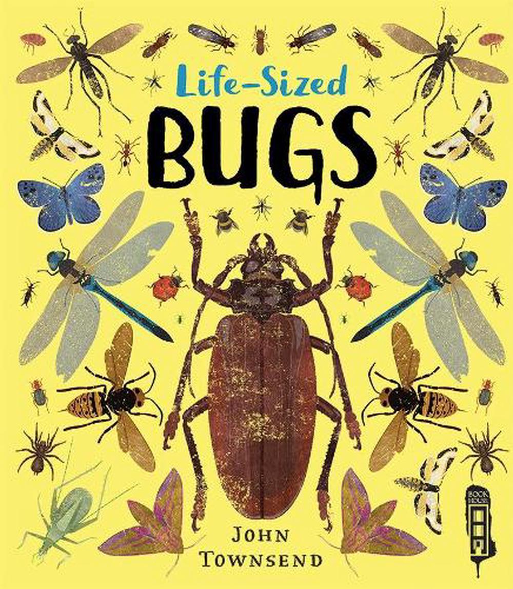 Lifesized Bugs by John Townsend (English) Hardcover Book Free Shipping