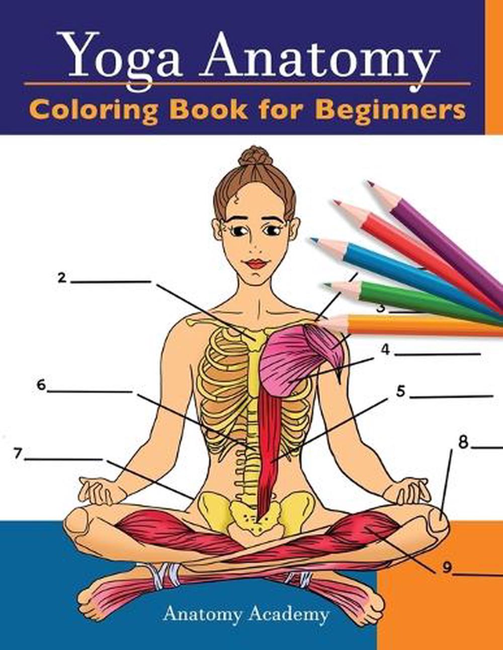 Download Yoga Anatomy Coloring Book for Beginners by Academy ...