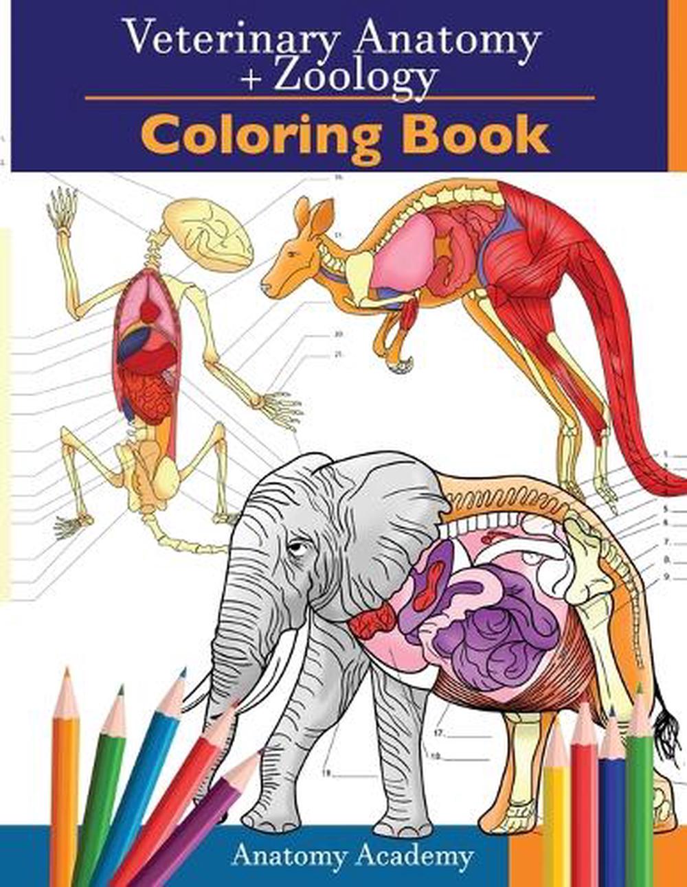Download Veterinary & Zoology Coloring Book by Academy Anatomy ...