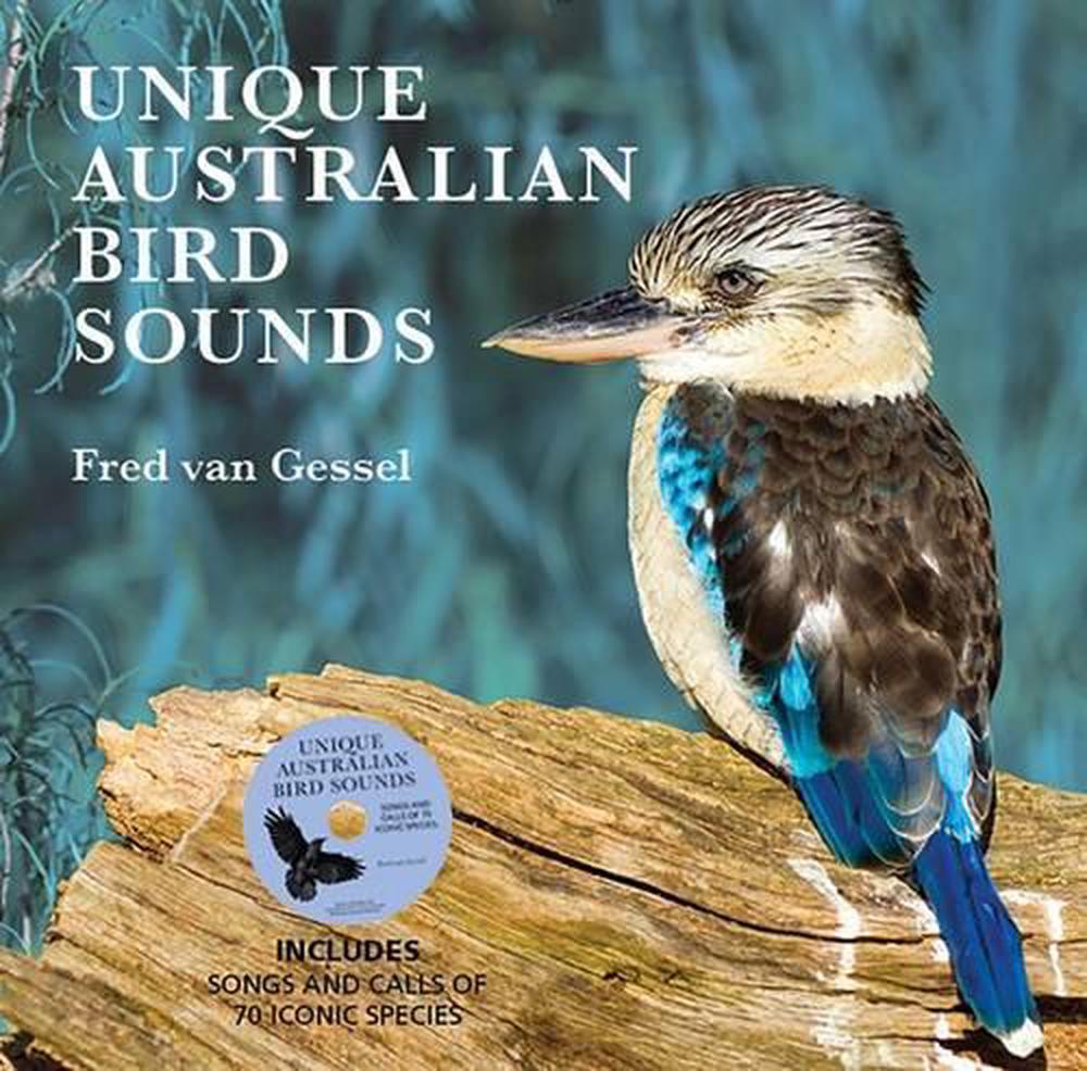 A Journey Through the Sounds of Australia: Exploring Unique Instruments of the Land Down Under