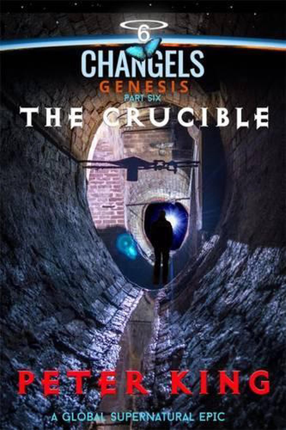 the crucible novel
