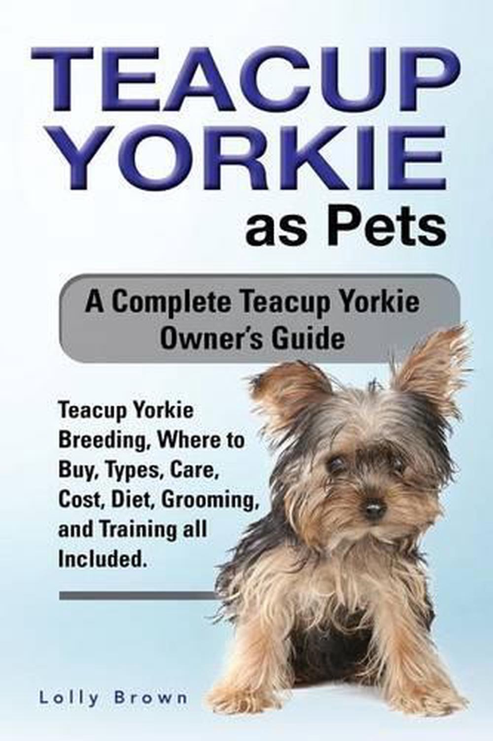 Teacup Yorkie As Pets: Teacup Yorkie Breeding, Where to ...