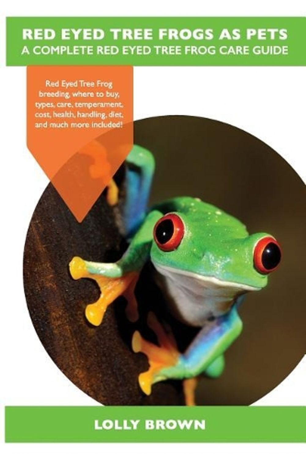 Red eyed tree frogs as pets a complete red eyed tree frog care guide