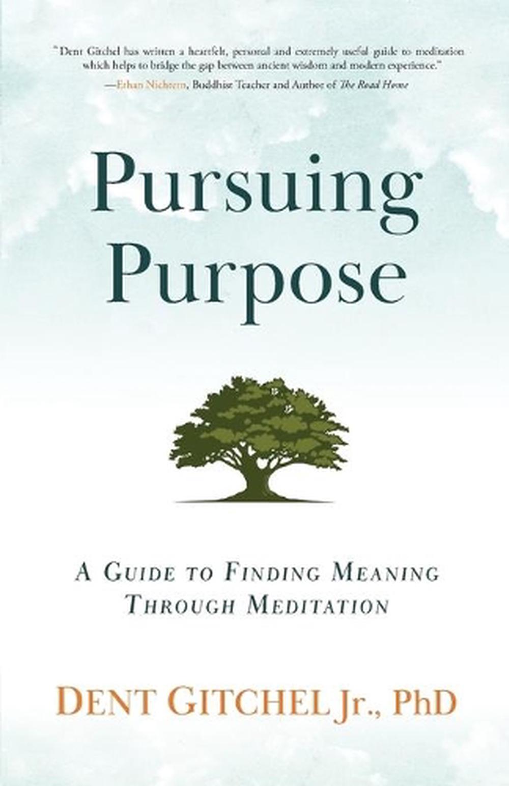 Pursuing Meaning