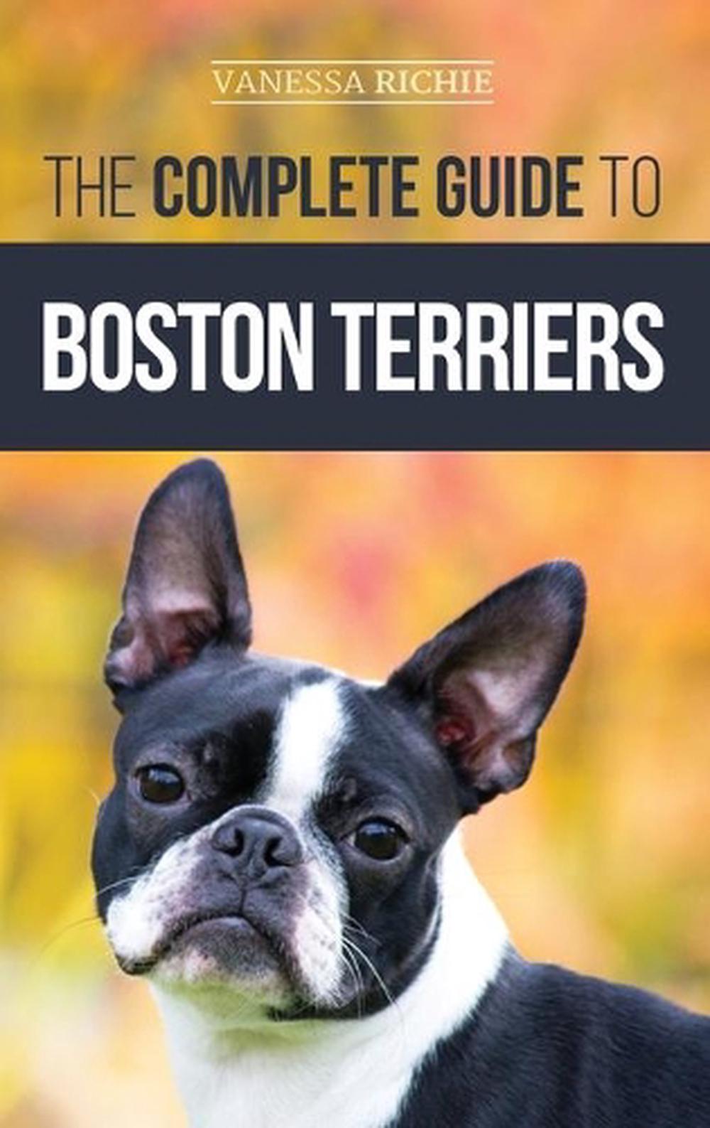 The Complete Guide to Boston Terriers Preparing for