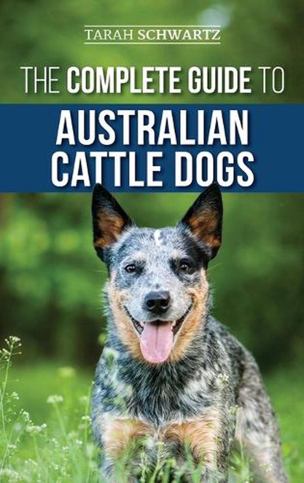 The Complete Guide to Australian Cattle Dogs: Finding ...