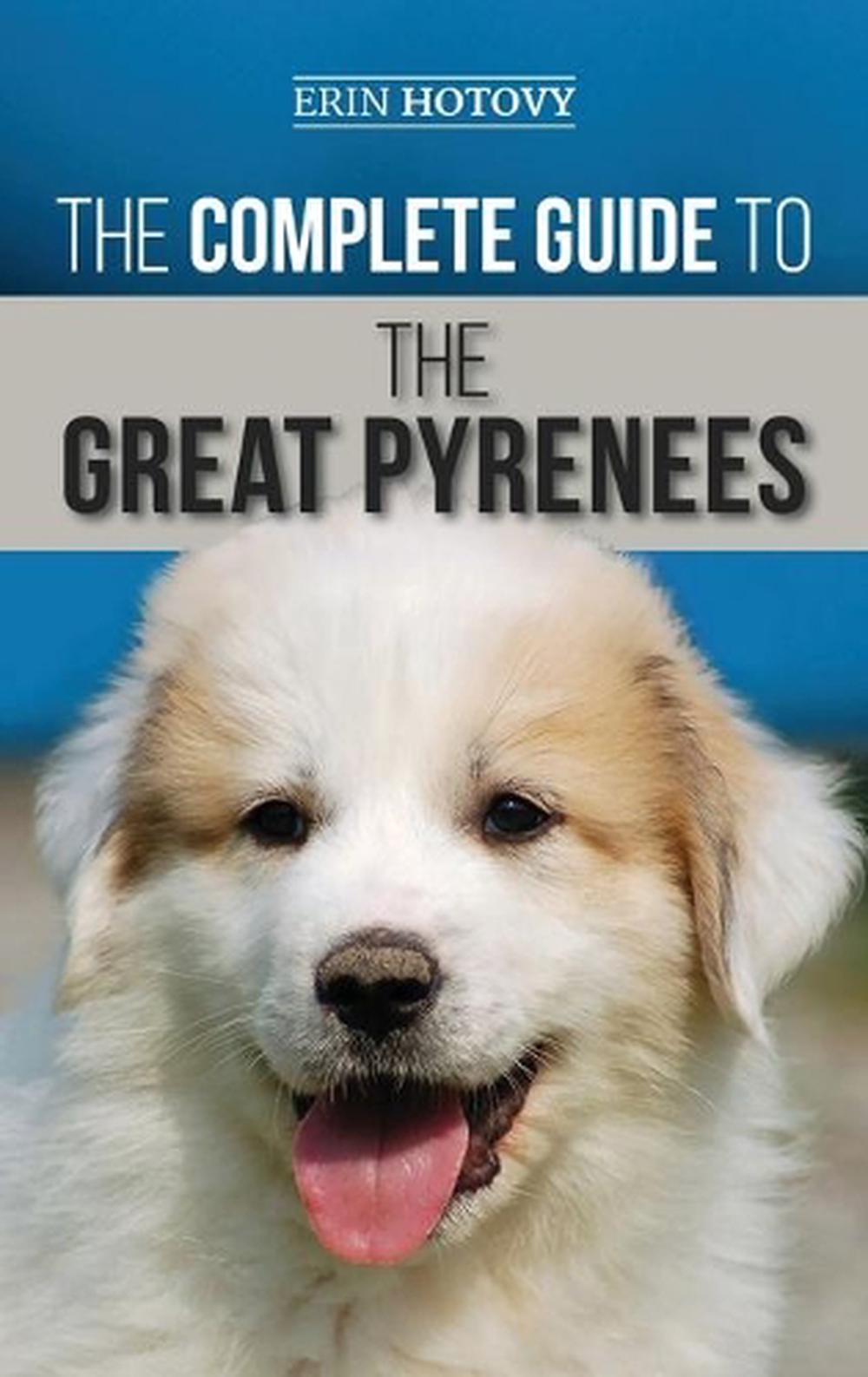 the-complete-guide-to-the-great-pyrenees-selecting-training-feeding