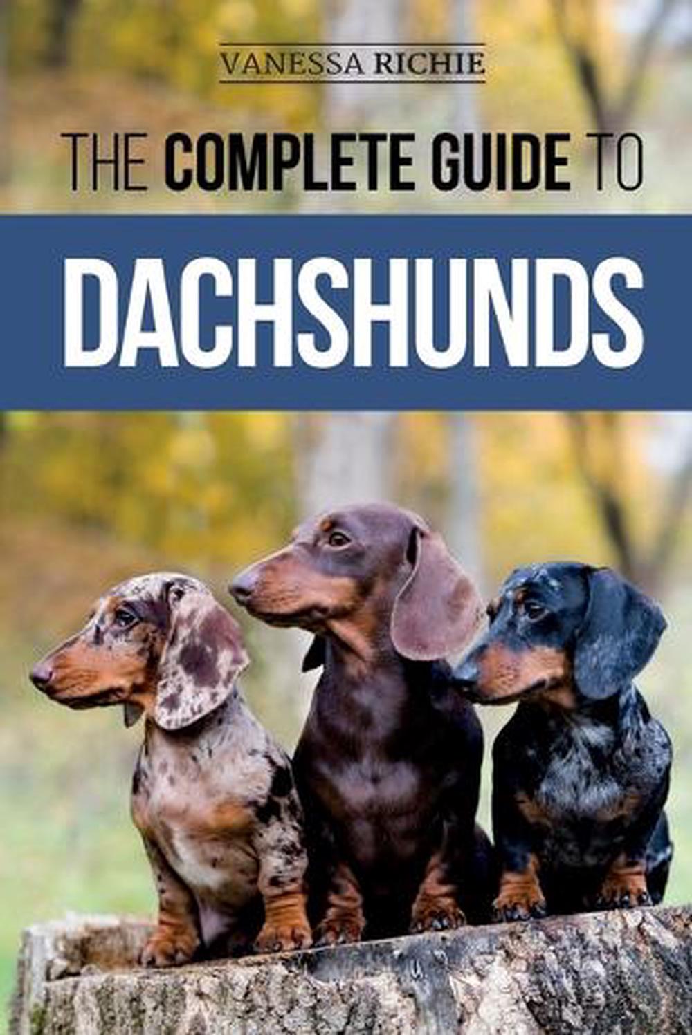 The Complete Guide to Dachshunds Finding, Feeding