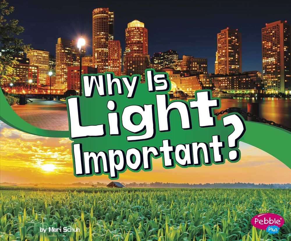 Why Is Light Important By Mari C Schuh English Library Binding Book 