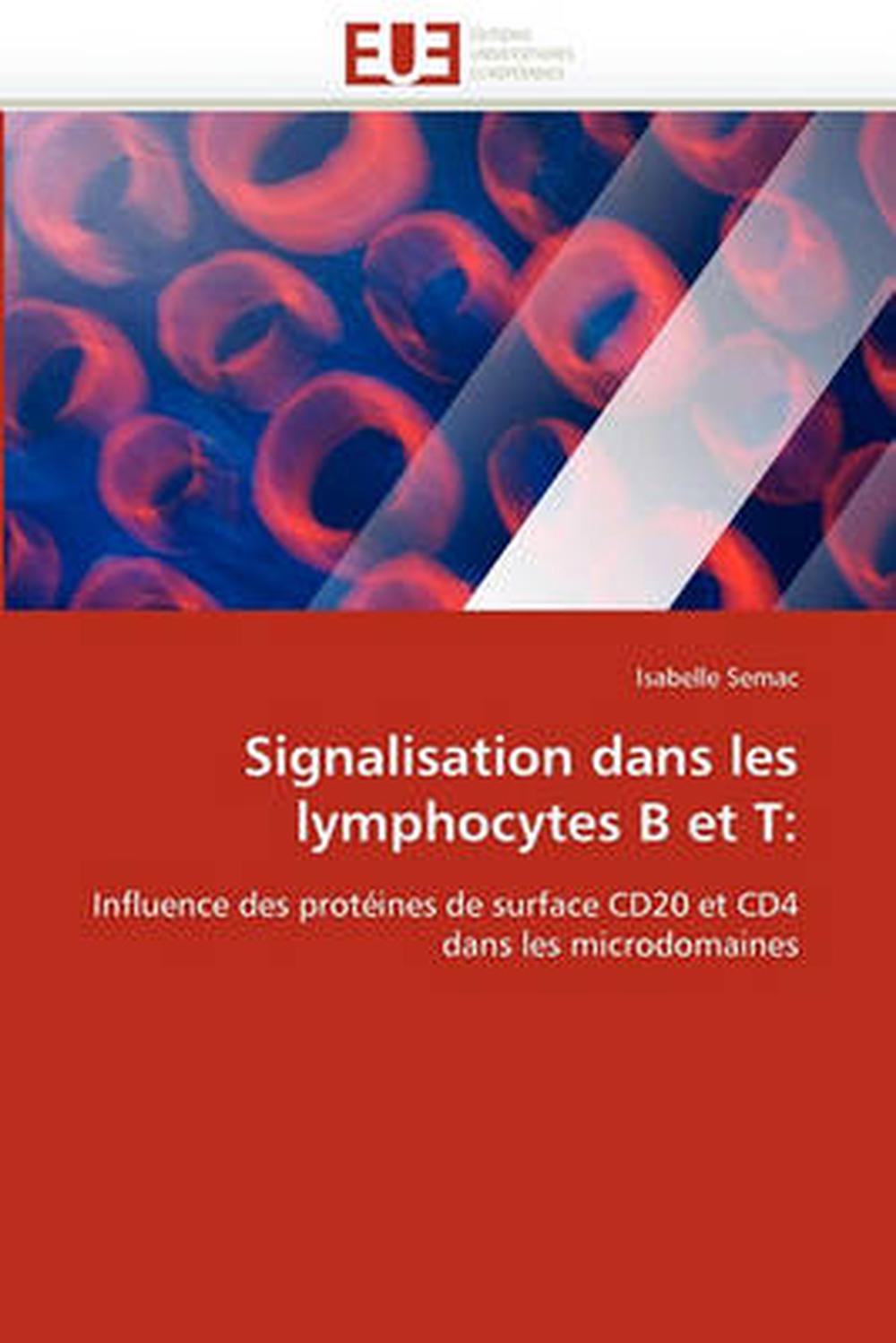 Signalisation Dans Les  Lymphocytes B Et T Influence des 