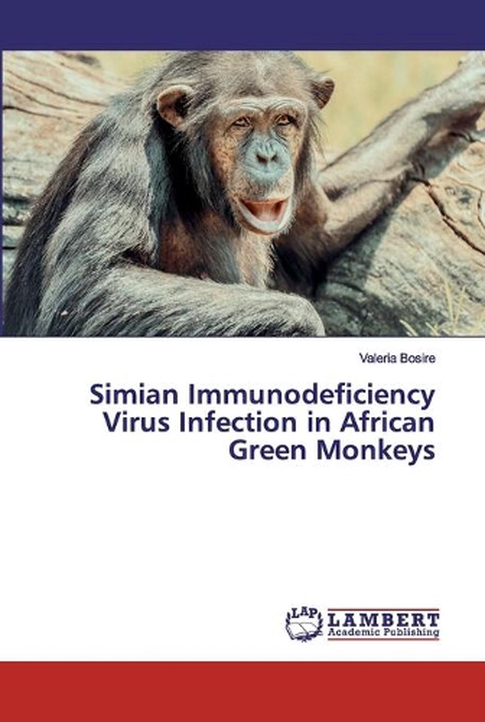 Simian Immunodeficiency Virus Infection in African Green Monkeys by