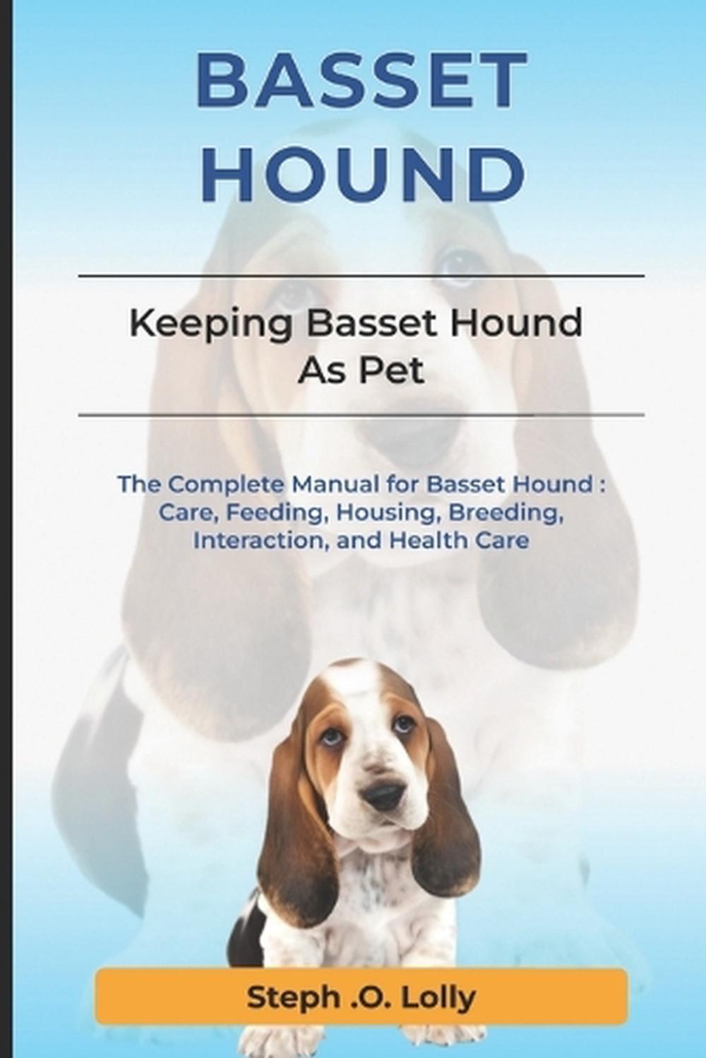 Basset Hound Which Dog Breed Is The Calmest Basset Hound