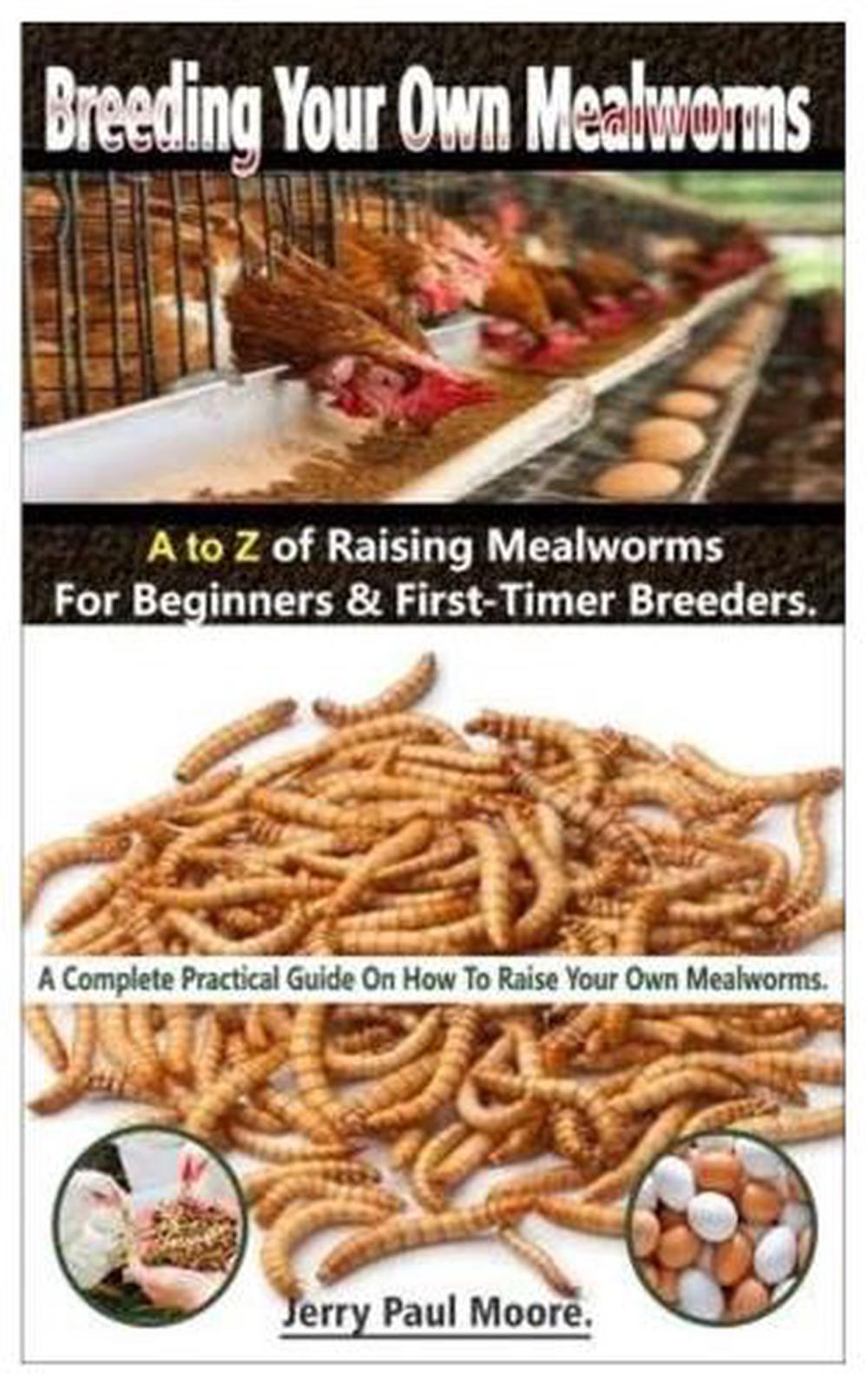 download breeding mealworms download breeding mealworms